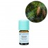 Molid Douglas Organic